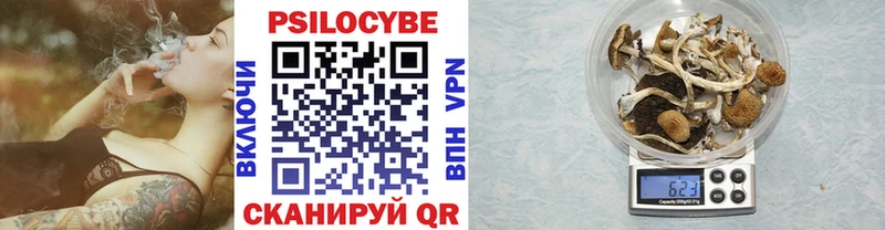 Псилоцибиновые грибы Psilocybe  это наркотические препараты  Белозерск 